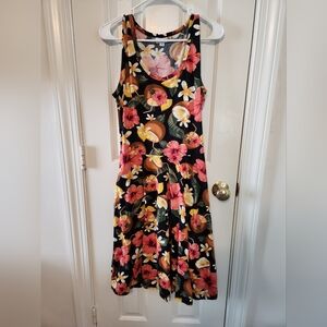 Medium LuLaRoe Nicki dress